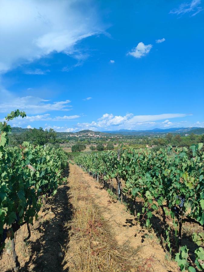 Agriturismo Colle Vento Суверето Экстерьер фото