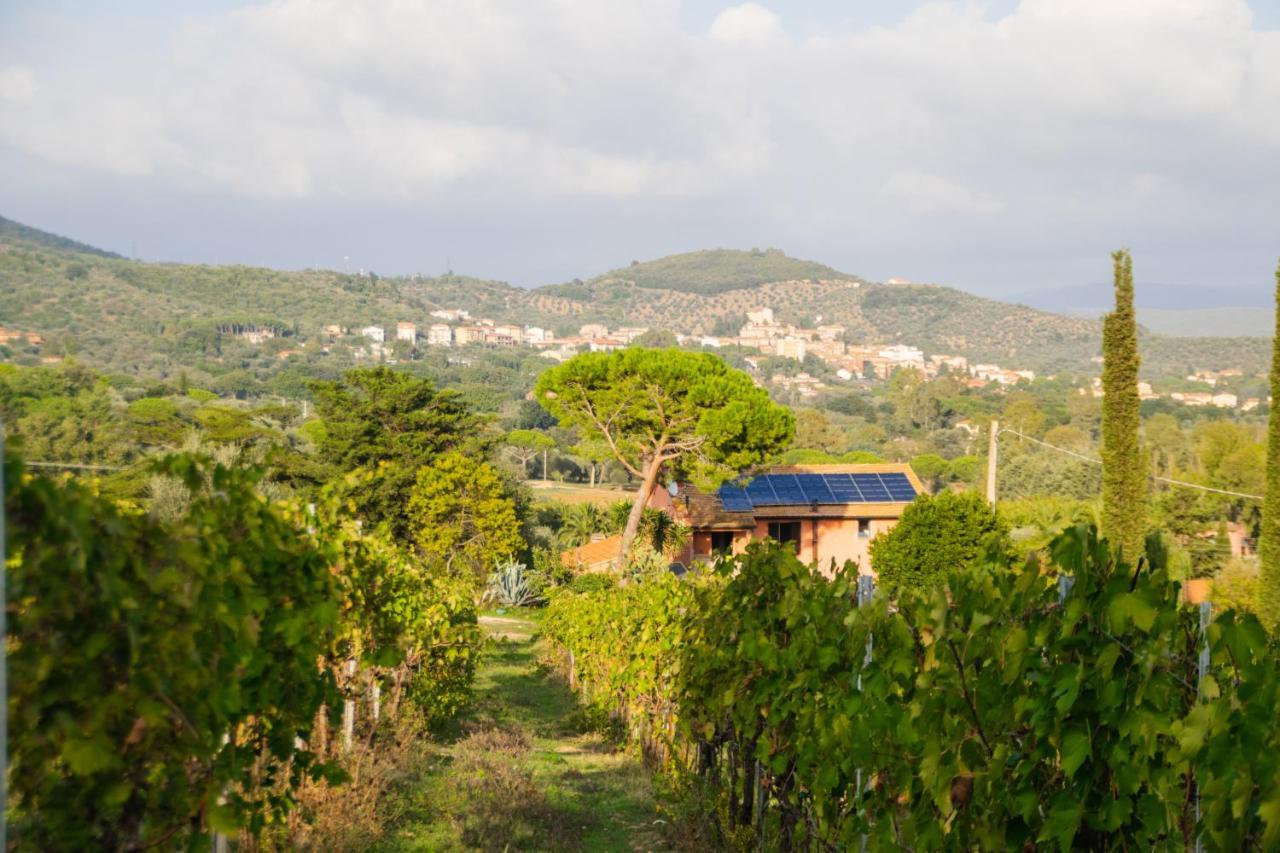 Agriturismo Colle Vento Суверето Экстерьер фото